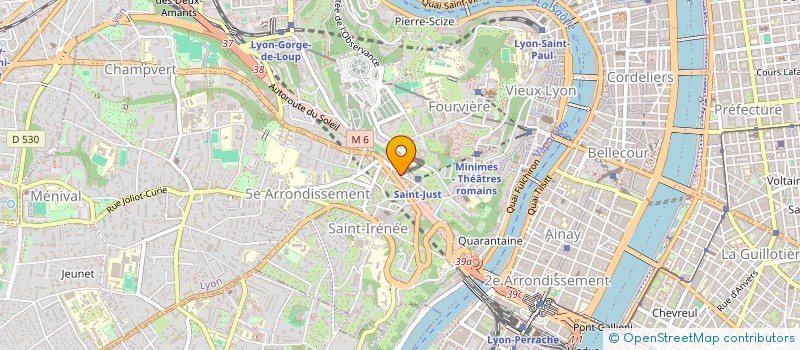 localisation de l'entreprise MADAME MARION VINCENT  LYON