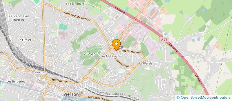 localisation de l'entreprise MADAME MARION WETZEL  VIERZON