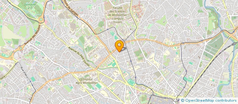 localisation de l'entreprise MADAME MARIYA NAYDENOVA à MONTPELLIER