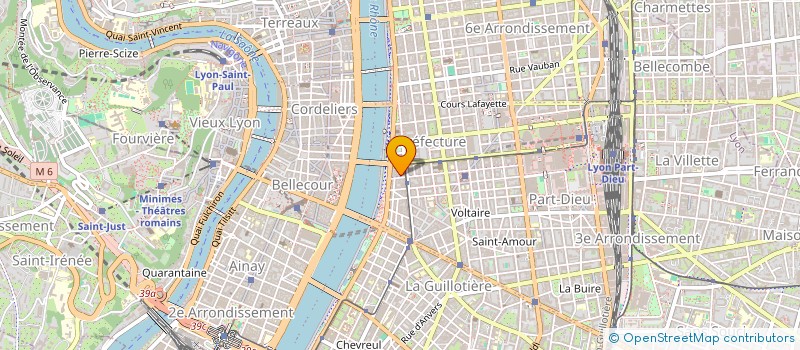 localisation de l'entreprise MADAME MARJOLAINE DE MOURGUES  LYON