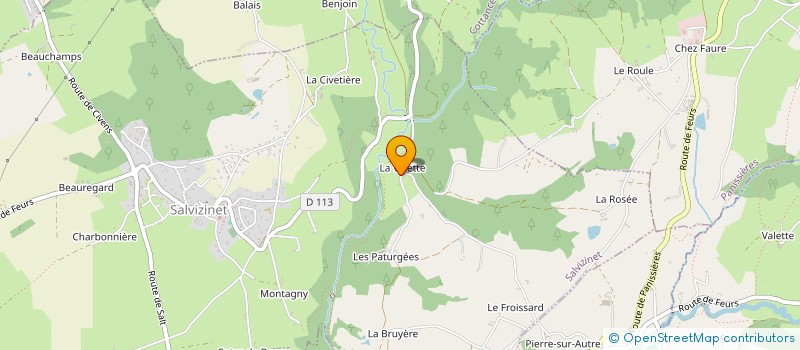 localisation de l'entreprise MADAME MARJOLAINE RECHAGNEUX  SALVIZINET