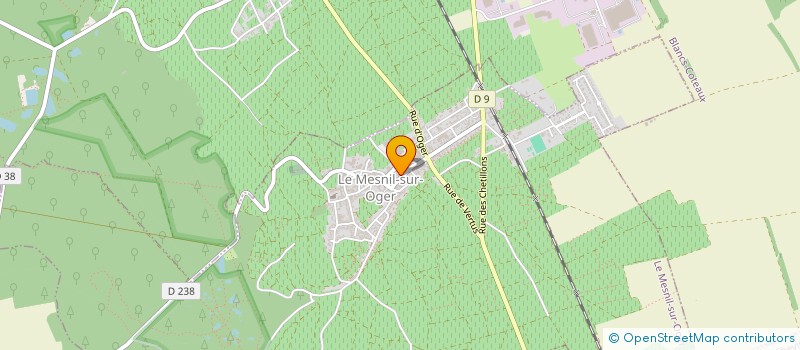 localisation de l'entreprise MADAME MARJORIE LECOEUR  LE MESNIL-SUR-OGER
