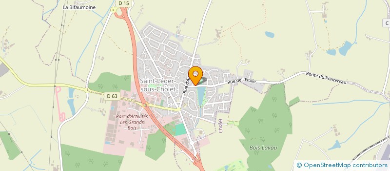 localisation de l'entreprise MADAME MARK FROWIJN  SAINT-LEGER-SOUS-CHOLET