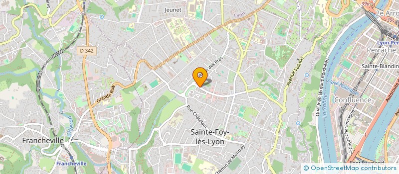 localisation de l'entreprise MADAME MARKHA CHAMEOUEVA  SAINTE-FOY-LES-LYON