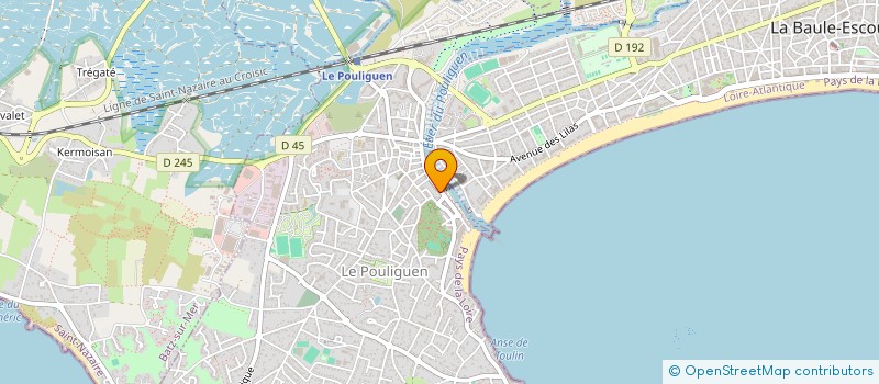 localisation de l'entreprise MADAME MARLENE THEPOT  LE POULIGUEN