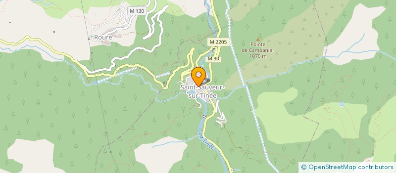 localisation de l'entreprise MADAME MARLENE VALLEE à SAINT-SAUVEUR-SUR-TINEE