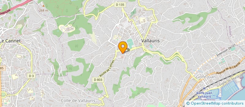 localisation de l'entreprise MADAME MARLINE PEYRANI  VALLAURIS