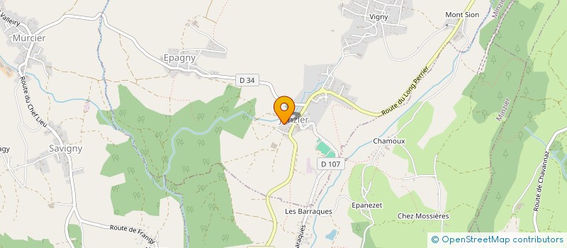 localisation de l'entreprise MADAME MARTA ALVES MENDONCA GASPAR  JONZIER-EPAGNY