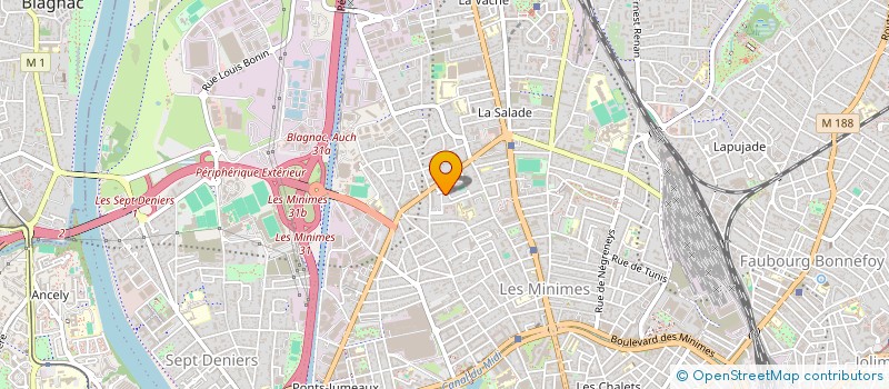 localisation de l'entreprise MADAME MARTA TARCZEWSKA  BLAGNAC