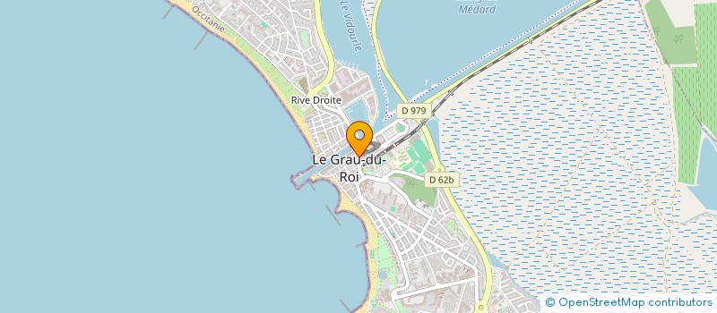 localisation de l'entreprise MADAME MARTHE JANUEL  LE GRAU-DU-ROI