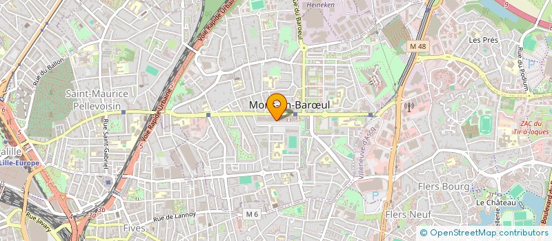 localisation de l'entreprise MADAME MARTHE NGO ILOUGA  MONS-EN-BARUL