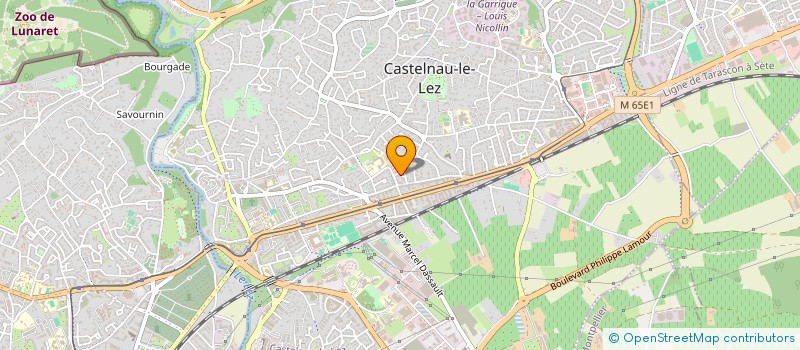 localisation de l'entreprise MADAME MARTINA CANO  CASTELNAU-LE-LEZ