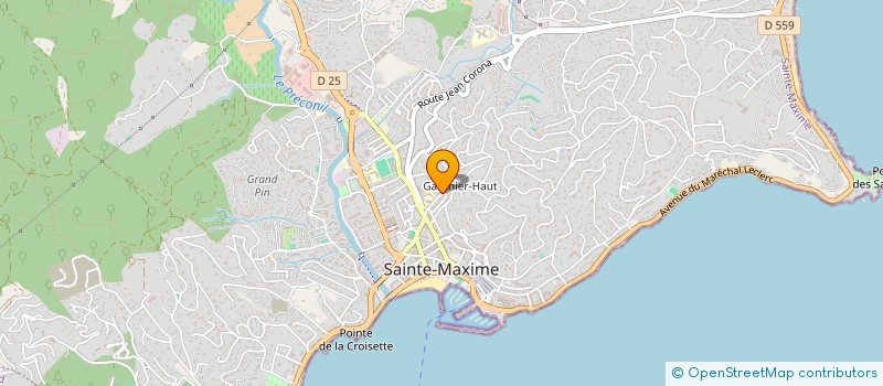 localisation de l'entreprise MADAME MARTINE AYASSE à SAINTE-MAXIME