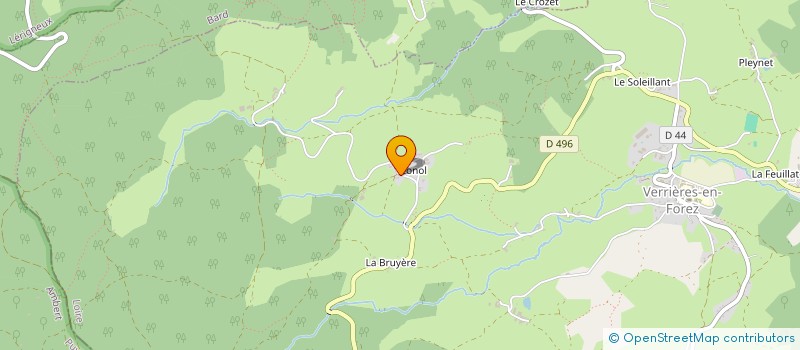 localisation de l'entreprise MADAME MARTINE BEAULIEU  VERRIERES-EN-FOREZ