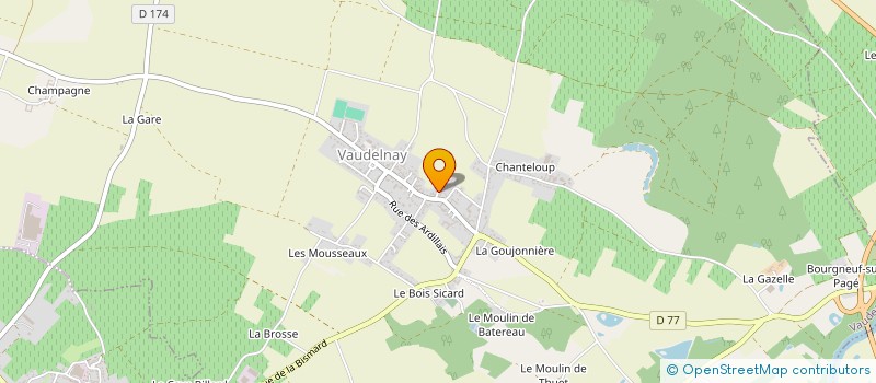 localisation de l'entreprise MADAME MARTINE BERTHELOTEAU  VAUDELNAY