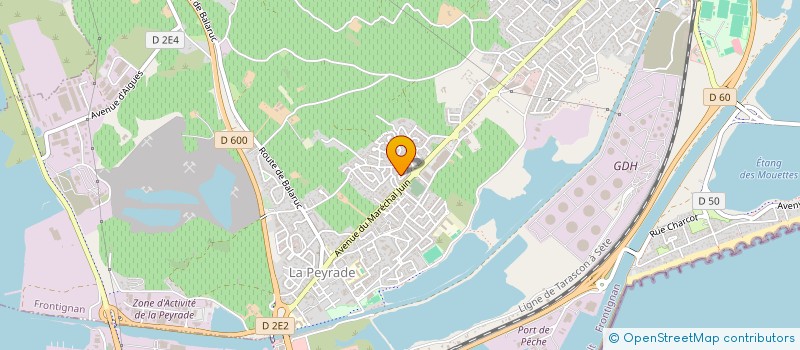 localisation de l'entreprise MADAME MARTINE BOISSARD à FRONTIGNAN