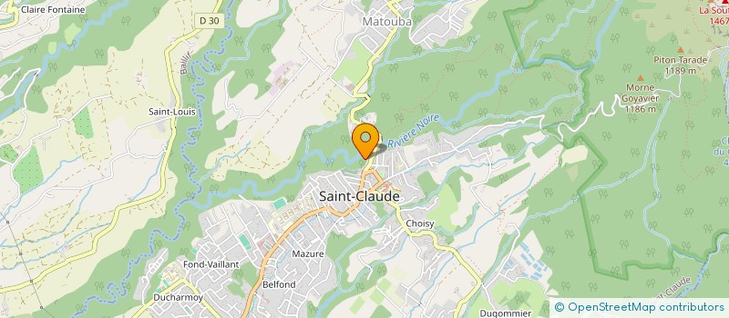 localisation de l'entreprise MADAME MARTINE BORDEY à SAINT-CLAUDE