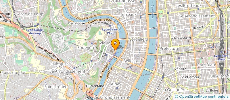 localisation de l'entreprise MADAME MARTINE BOUVIER  LYON