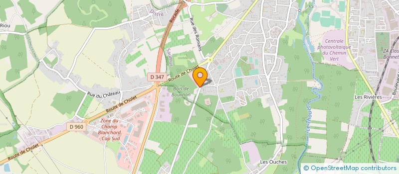 localisation de l'entreprise MADAME MARTINE BRAULT  SAUMUR