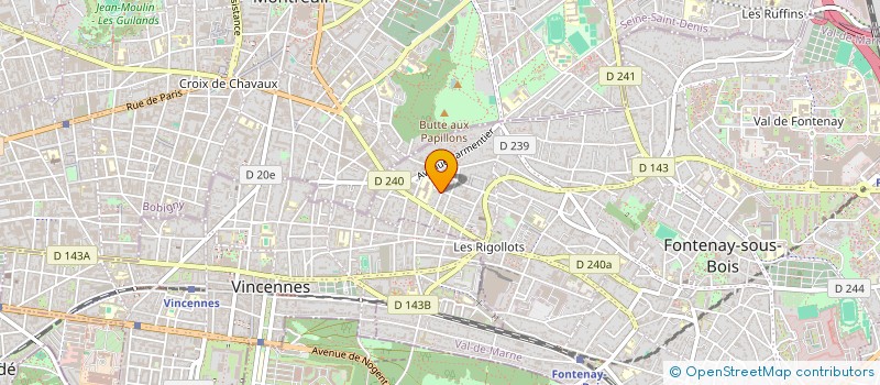 localisation de l'entreprise MADAME MARTINE CHAUZU à FONTENAY-SOUS-BOIS