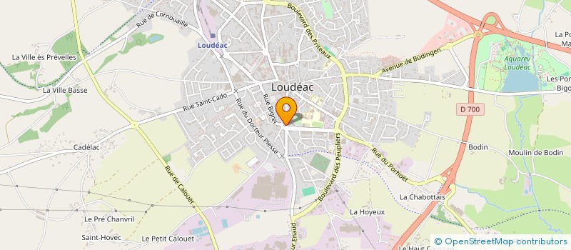 localisation de l'entreprise MADAME MARTINE CHEVALIER à LOUDEAC