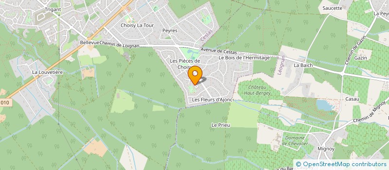 localisation de l'entreprise MADAME MARTINE COURET à CESTAS