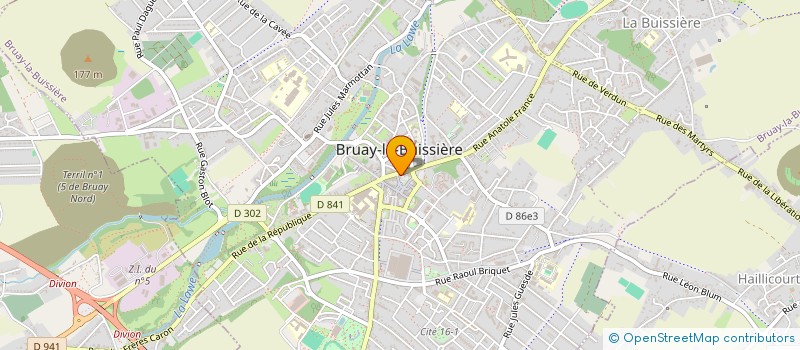 localisation de l'entreprise MADAME MARTINE DENEUVILLE à BRUAY-LA-BUISSIERE