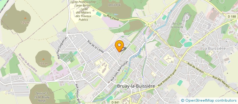 localisation de l'entreprise MADAME MARTINE DUPLOUICH à BRUAY-LA-BUISSIERE