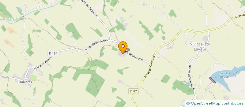 localisation de l'entreprise MADAME MARTINE FABRE  VIVIERS-LES-LAVAUR