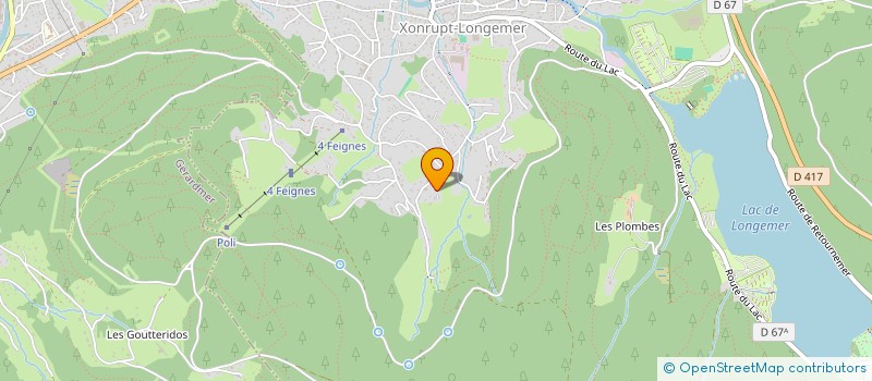 localisation de l'entreprise MADAME MARTINE FLAGEOLLET  GERARDMER