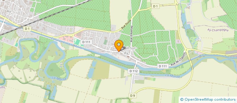 localisation de l'entreprise MADAME MARTINE LANGONNET  AY-CHAMPAGNE