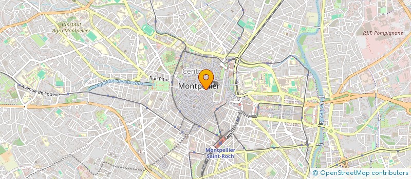 localisation de l'entreprise MADAME MARTINE LAURENS à MONTPELLIER