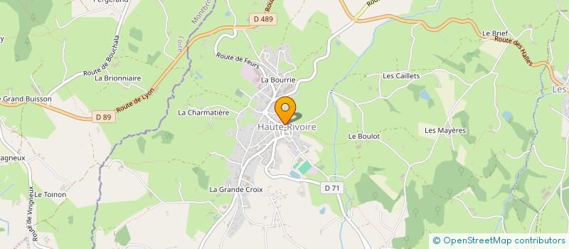 localisation de l'entreprise MADAME MARTINE LAUZIER  ROANNE