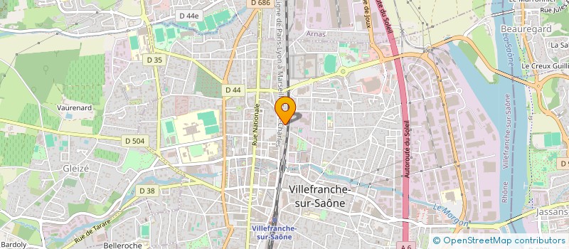 localisation de l'entreprise MADAME MARTINE LEMOINE  VILLEFRANCHE-SUR-SAONE