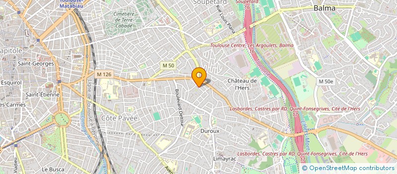 localisation de l'entreprise MADAME MARTINE MAISONNEUVE à TOULOUSE