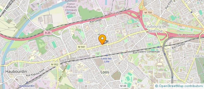 localisation de l'entreprise MADAME MARTINE-MARCELLINE BOMMART  LOOS