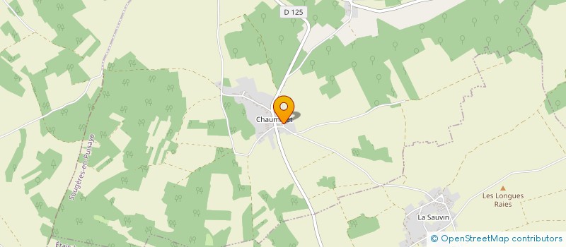 localisation de l'entreprise MADAME MARTINE MARCHAND  SOUGERES-EN-PUISAYE