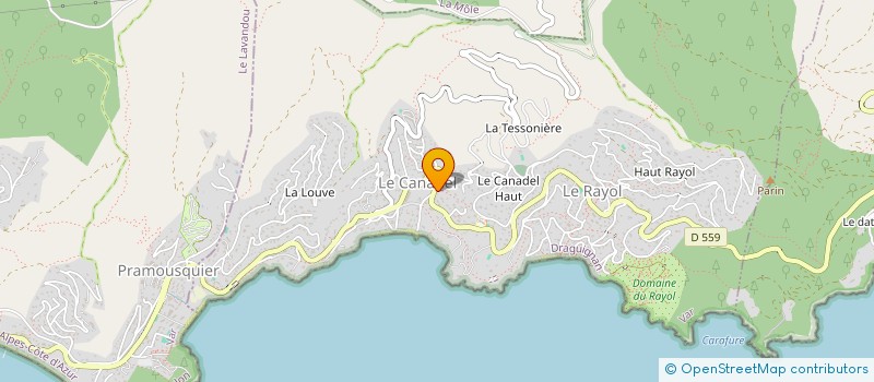 localisation de l'entreprise MADAME MARTINE OLIVE à RAYOL-CANADEL-SUR-MER