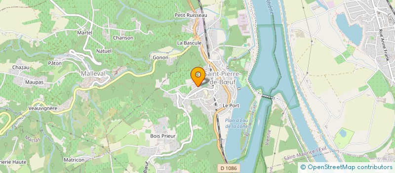 localisation de l'entreprise MADAME MARTINE POLITOWICZ  SAINT-PIERRE-DE-BUF