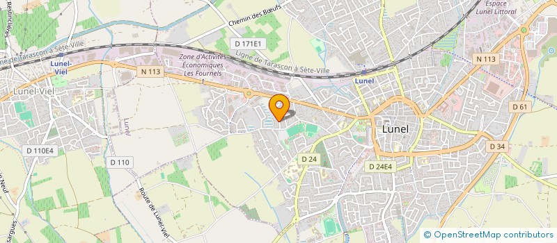 localisation de l'entreprise MADAME MARTINE PUIG  LUNEL