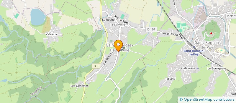 localisation de l'entreprise MADAME MARTINE ROCHET  SAINT-GEORGES-HAUTE-VILLE