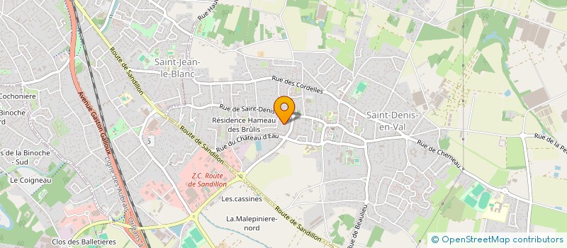 localisation de l'entreprise MADAME MARTINE SALMON à SAINT-DENIS-EN-VAL