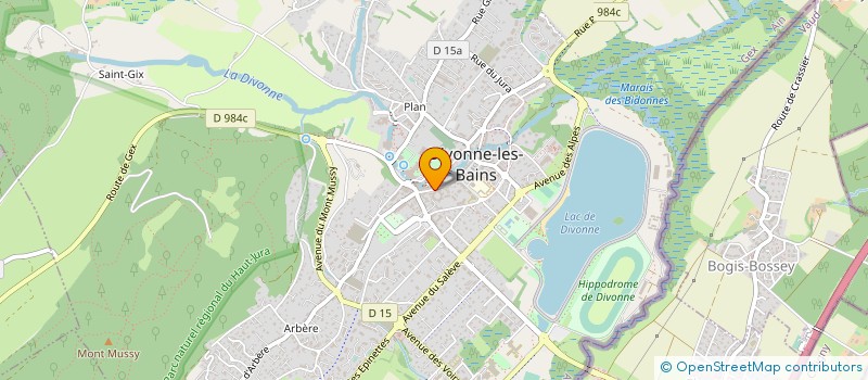 localisation de l'entreprise MADAME MARTINE SAOUT à DIVONNE-LES-BAINS