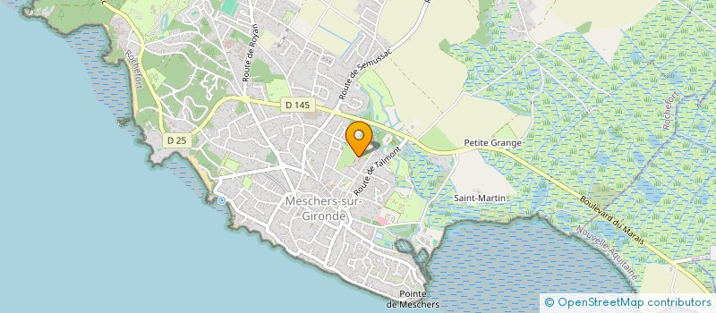 localisation de l'entreprise MADAME MARTINE SOULLET  MESCHERS-SUR-GIRONDE