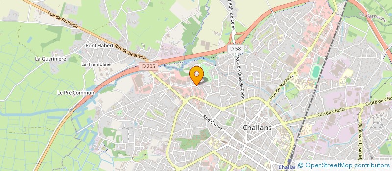 localisation de l'entreprise MADAME MARTINE TESSIER à CHALLANS