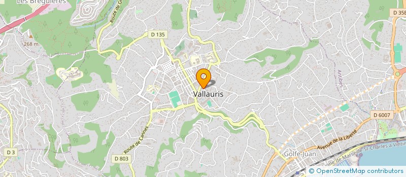 localisation de l'entreprise MADAME MARTINE WACQUIEZ à VALLAURIS