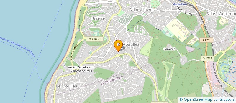 localisation de l'entreprise MADAME MARTINE WRIGHT  ARCACHON