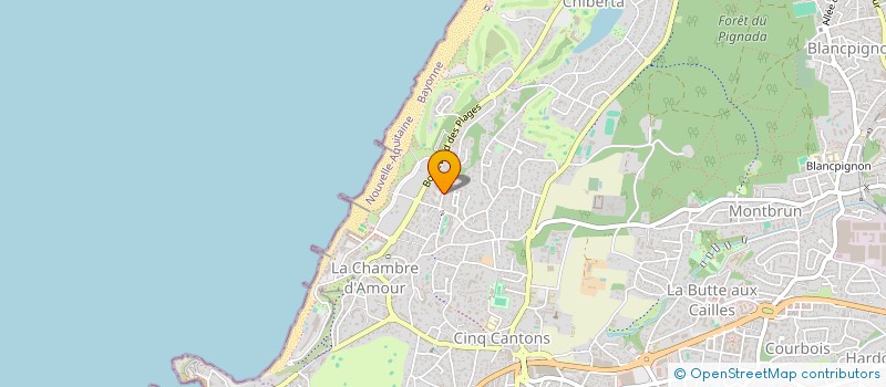 localisation de l'entreprise MADAME MARTINE WUATELET  ANGLET