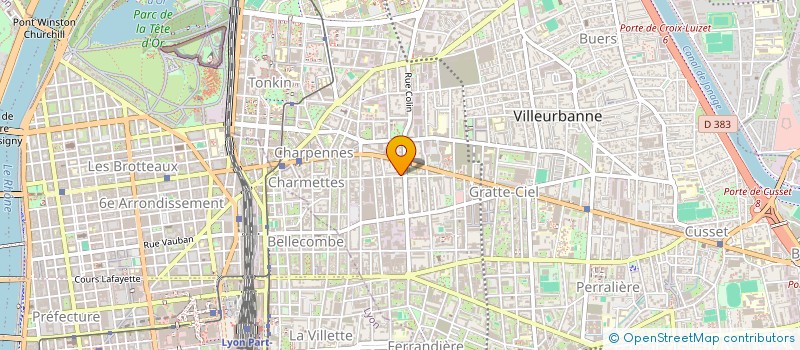 localisation de l'entreprise MADAME MARTINE ZERBIB à VILLEURBANNE