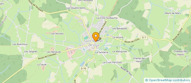 localisation de l'entreprise MADAME MARTYNA WEGLINSKA  SAINT-BONNET-DE-JOUX